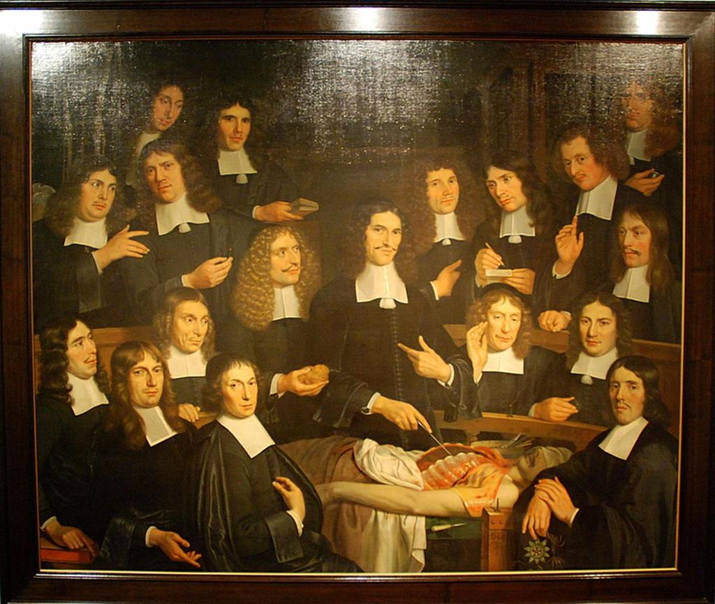 Cornelis de Man Delf li anatomist