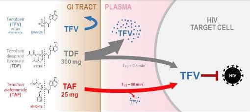 Tenofovir alafenamid (TAF) -Tenofovir ön ilacı -TAF TFV Plazma TFV konsantrasyonu %90 İntrasellüler konsantrasyon -Periferik mononükleer hücrelerde TFV konsantrasyonu: 5-7X --Faz 3 çalışmalarda TDF