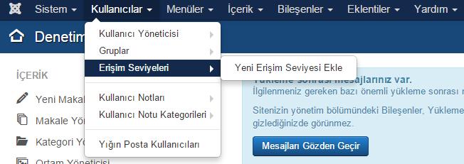 Erişim seviyeleri siteyi görüntüleyebilecek kullanıcı seviyelerini belirlemek gibi genel site ayarlarında kullanılır.