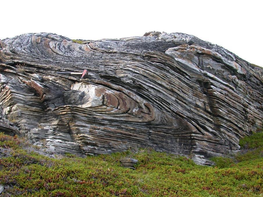 muhtemelen metamorfizma (başkalaşım) geçirmişlerdir Farklı kayaçları