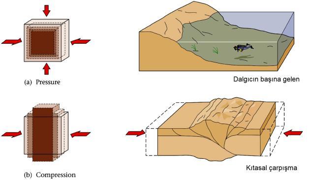 Basınç: Stres tüm yönlerde aynı olduğu zaman. Hacim değişimine sebep olur, şekil değişimi olmaz. Örneğin: su veya hava basıncı. Stres Tipleri Kompresyon: daralmaya sebep olur.