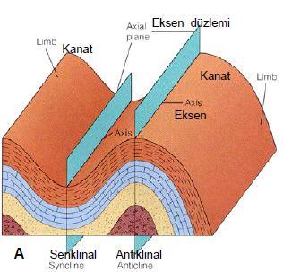 Eksen düzleminin kıvrımın tabakalarla arakesiti olan doğru parçasına ise kıvrım ekseni (axial plane) denir.