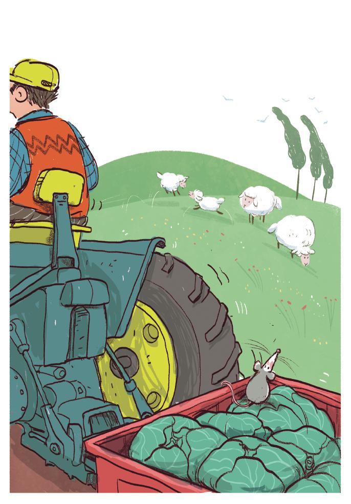 ördeklerin eşelendiği, hindilerin gulu gulu yaptığı bir evin önünde durunca fare de indi traktörden.