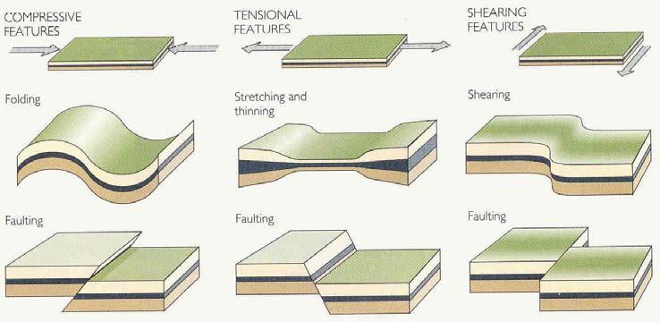 Sıkışmalı yapılar Gerilmeli yapılar Kesme/Makaslama yapıları Değişik türde kuvvetlerin etkisi altında gelişen kıvrım ve fay yapıları.
