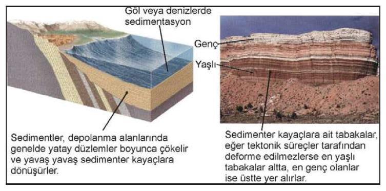 27.02.2018 5 Tabakalanma arası yüzeyler «Sedimenter kayaçların», en önemli süreksizlik türünü oluşturur.