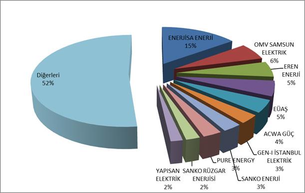 Miktarlarının Şirket Bazında Dağılımı ve İlk 10 Şirketin Payı