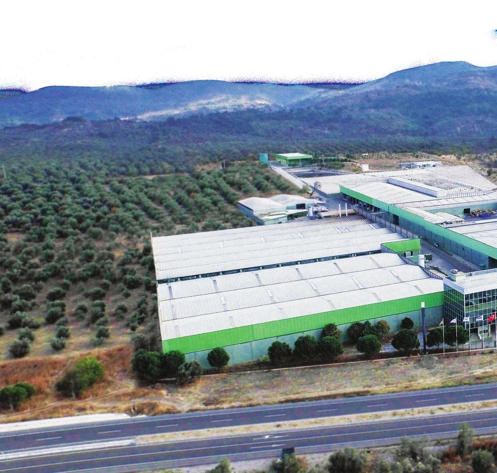ABOUT US Fora Olive s high quality olive products are prepared at the Antgıda Inc.