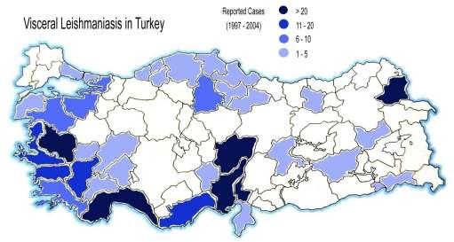 Türkiye de Visseral Leishmaniasis