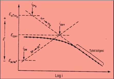 Şekilde katodik polarizasyon eğrisinin Tafel bölgesinin korozyon potansiyeline ekstrapolasyonu görülmektedir.