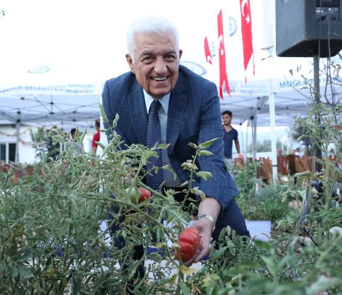 yerel tohum merkezi aracılığıyla yetiştirilen