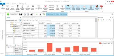 PLATFORM (ALTYAPI) VERİ AMBARI VERİ AMBARI NA ERİŞİM Veri Ambarı ndan Nebim V3 ERP içerisinden Veri Ambarı Tarayıcısı ve Microsoft Excel Pivot Tablo Alan Listesi olmak üzere iki farklı şekilde