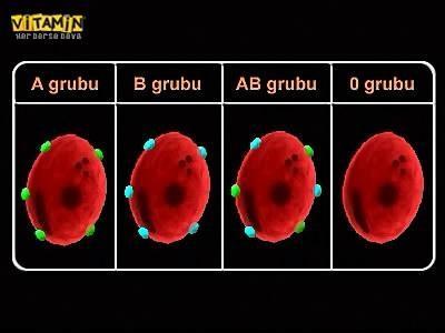 TRANSFÜZYON YAPILACAK KAN GRUBUNUN SEÇİMİ Nakil öncesi tüm hastalara kendi kan grubundan kan ürünleri