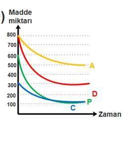 yumurtayla birleşmez Hamilelik gerçekleşmez Hangi seçenekte kısırlığa neden olan yapıların yerleri doğru gösterilmiştir? A) B) C) D) 13.