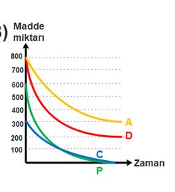 DNA nın yapısına katılır. Bu olay sırasında sitoplazmadaki madde miktarı azalırken, çekirdekteki madde miktarı artar.