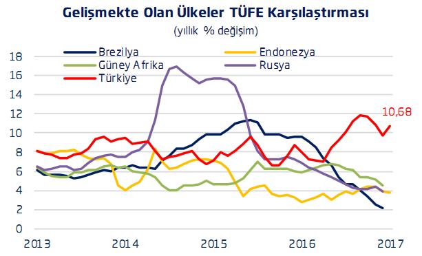 Gıda ana grubunun son 12 aydaki % 10,68 lik TÜFE artışı içindeki payı % 2,61 dir.