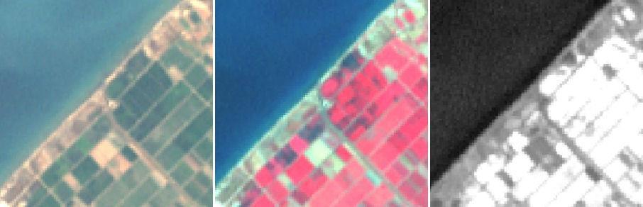 A true colour (Red-Green-Blue), false colour (NIR-Red-Green) and NDVI image of agricultural fields in north-west