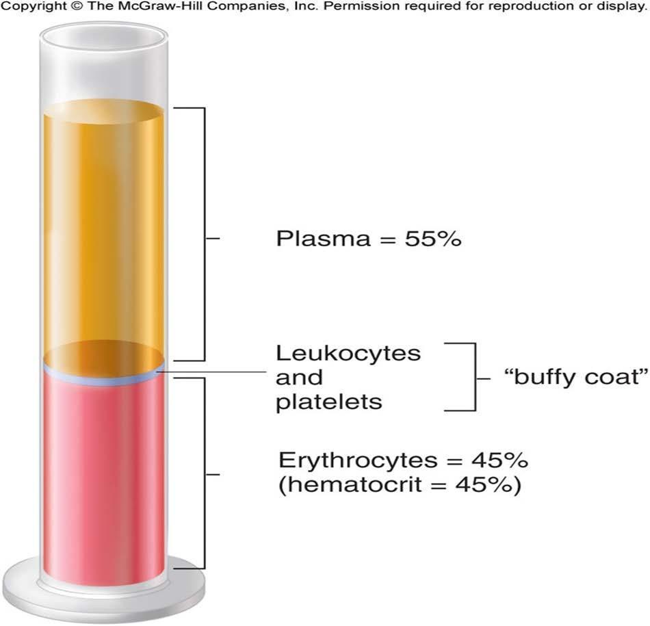 Kan Akyuvarlar ve Trombositler Alyuvarlar Kan plazma denen bir sıvı içinde asılı duran "şekilli elemanlardan meydana gelir. Örneğin; hücreler, hücre parçaları ve plazma (çoğunlukla su).