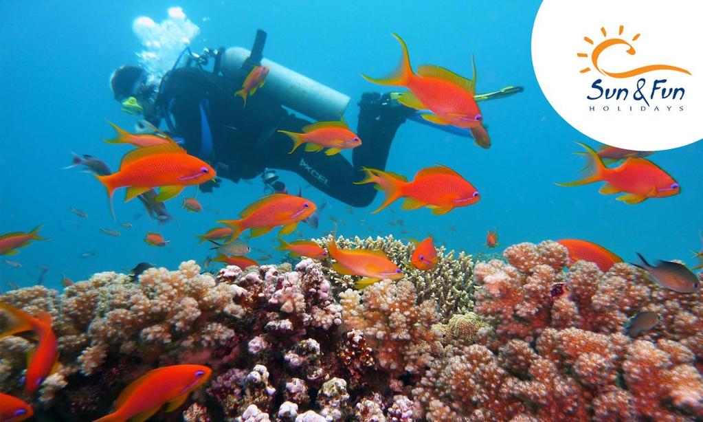 Potápanie: Objavte rozprávkový podmorský svet.