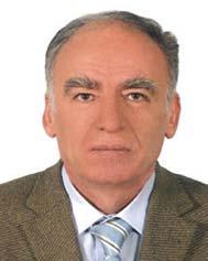 Ali Sarıçiçek 1948 yılında, Tunceli de doğdu. 1976 yılında, Elazığ Devlet Mühendislik ve Mimarlık Akademisi İnşaat Mühendisliği Bölümünden mezun oldu.