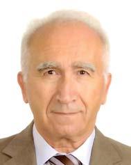 2006-2012 tarihleri arasında Karayolları Genel Müdürlüğünde asfalt şube müdürlüğü ve yol yapım daire başkan yardımcılığı görevlerinde bulundu. 2012 yılında emekli oldu.