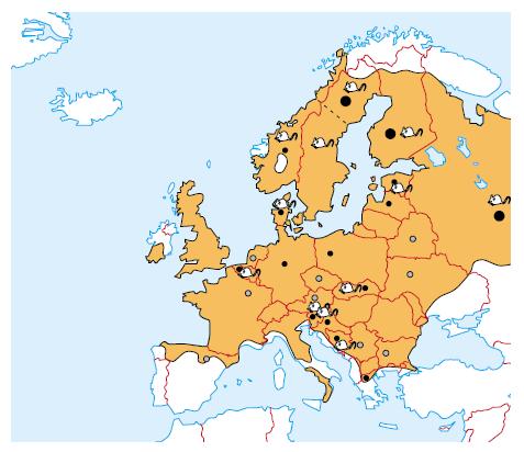 18 Şekil.1.7.b Şekil 1.7.a. Şekil 1.7. Avrupa daki taşıyıcı vektör kemiricilerr ve hantaviruslarin dağılımı (Vapalahti et al., 2003). Şekil 1.7.a. Myodes (Clethrionomys) glareolus un dağılımı ve kemiriciden elde edilen PUUV virusunun sekans yapıldığı alanlar rodent şekli ile gösterilmiştir.