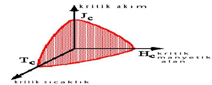 1. GİRİŞ Selda KILIÇ Şekil 1.9. Kritik yüzey faz diyagramı 1.13.