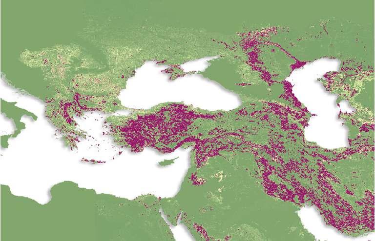 Türkiye, İran Romanya, Moldova Ukrayna Suriye, Irak Orta Asya