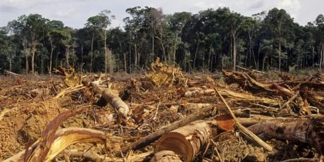 Artan insan ihtiyaçlarının ormanlardan düzensiz ve plansız bir şekilde sağlanması; erozyonla toprakların kaybolması, çevre kirlenmesi, doğal