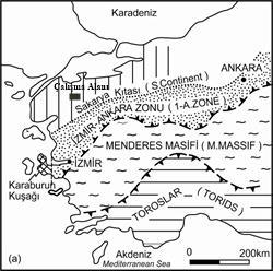 İnceleme alanındaki en önemli tepeler Kocataş Tepe ve Toy Tepe dir. Bu tepelerin arasından Sayga Deresi KB-GD yönünde geçmektedir.