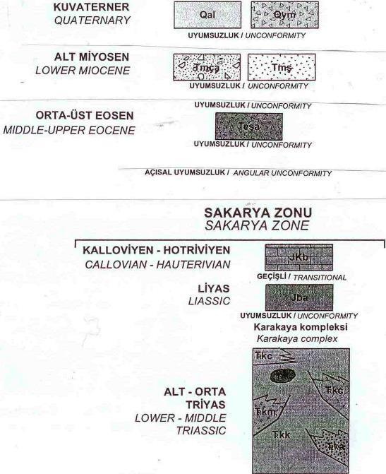 uyumsuzlukla örter. Çamlıca metamorfikleri üzerine gelen ve Sakarya Kıtasını teşkil eden formasyonların yaşları Mesozoyik te Liyas-Triyas arasındadır.