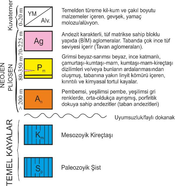 arasında, genellikle ince katmanlı kumtaşı, kiltaşı ve marn ardalanmasından oluşmuş tortul kayalar ayrımlı kaya uyumsuzluğuyla gelir (Şekil 4 ve 5).