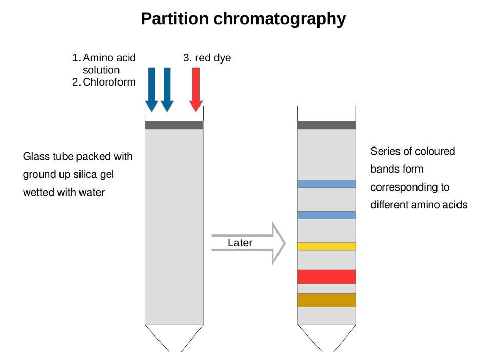 Kromatografi yöntemleri, çözünen molekülleri durağan faza bağlama veya onunla etkileşime girme biçimine göre iki tipe ayrılır.