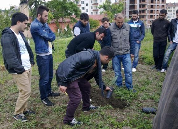 tabakasıyla kapatılarak toprakla