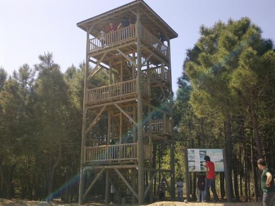 Sinop İşletme Müdürümüz Sayın Hakan ORHAN bunun nedeninin hayvanların otlatılması ve