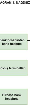 NAĞDSIZ HESABLAŞMALARIN HANSI FORMALARI VAR?