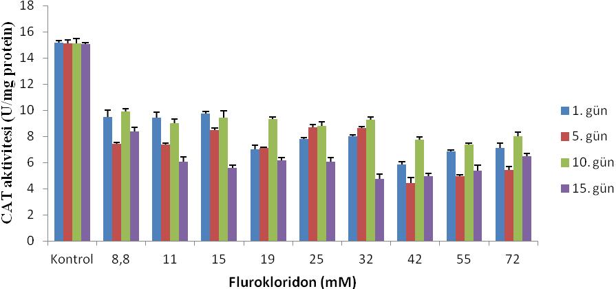 Ek Şekil 27. Çimlenme sonrası flurokloridon uygulanan H. annuus yapraklarında konsantrasyonlara ve günlere bağlı CAT aktivitesinin değişimi Ek Şekil 28.