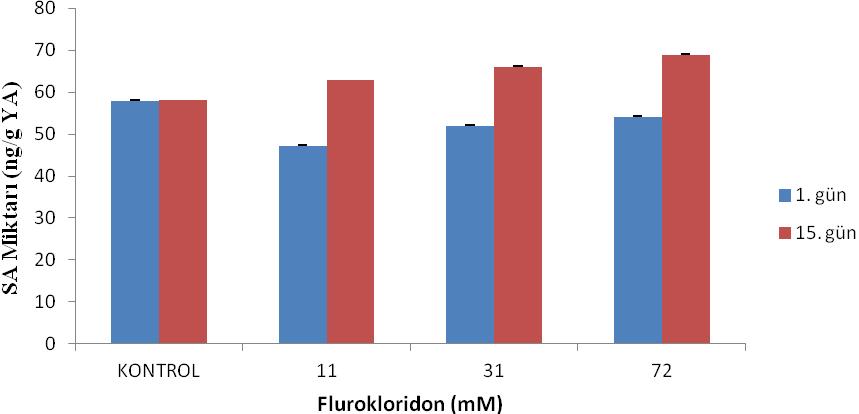 Ek Şekil 41. Çimlenme sonrası flurokloridon uygulanan H. annuus da konsantrasyonlara ve günlere bağlı içsel SA miktarı değişimi Ek Şekil 42.