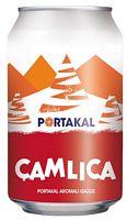 CAMLICA PORTAKAL DOSE 330ml CAMLICA PORTAKAL 1,5L EU CAMLICA PORTAKAL PFAND 1,5L CAMLICA LIMONLU 1,5L EU 05190-08 24X1=24