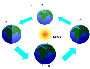 C) Güney yarım küreye Güneş ışınları eğik gelmektedir. ) Güney yarım kürede kış mevsimi yaşanmaktadır. 5. Alper mevsimlerin oluşu ile ilgili aşağıdaki etkinliği cevaplayacaktır.