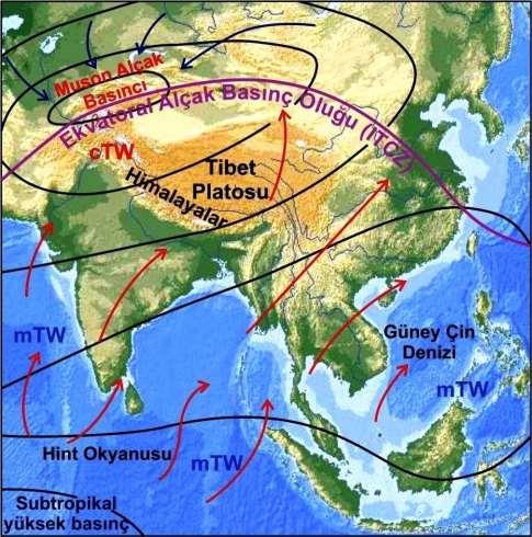güney Asya nın geniş kara yüzeylerinin fazla ısınmasının yanı sıra, ITCZ nin bu aylarda yaklaşık 30º kuzey enlemlerine, (Hindistan ve
