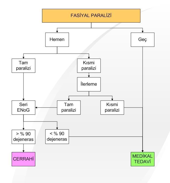 Temporal kemik