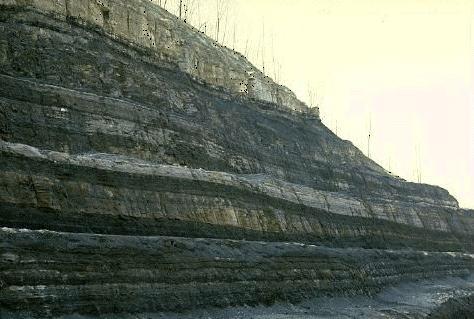 KÖMÜR JEOLOJİSİ Kömür, siyah, koyu gri veya kahverengi-siyah renkli, parlak veya mat bir katı fosil yakıt ve aynı zamanda sedimanter bir kayadır (Şekil 1). Şekil1.