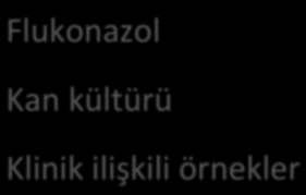 AnQfungal Duyarlılık Flukonazol Kan kültürü Klinik