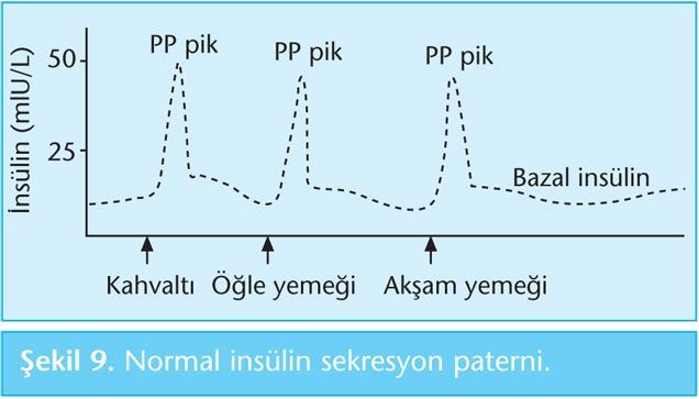 Fizyolojik insulin sekresyonu Pankreastan 2 çeşit insulin sekresyonu gerçekleşir. Sürekli insülin salınımı: Bazal insülin; başlıca etkisi karaciğerden glukoz çıkışını kontrol etmektir.