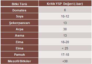 3. KONU İLE İLGİLİ YÜRÜTÜLEN ÇALIŞMALAR Bazı bitkilerin kritik YSP değerleri Kaufman a (1981) göre yaprak su potansiyelinin kritik düzeyi, bitkinin türü ve