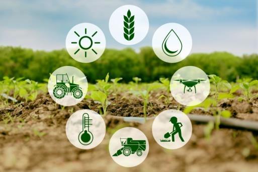 1. GİRİŞ Son yıllarda, tarımsal üretimde yeni teknolojilerin kullanımı ile birim alandan elde edilen verim dolayısıyla gelir, en yüksek seviyeye çıkarılmaya