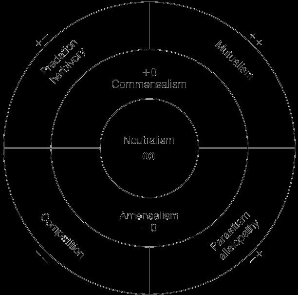 Komensalizm Nötralizm İki tür
