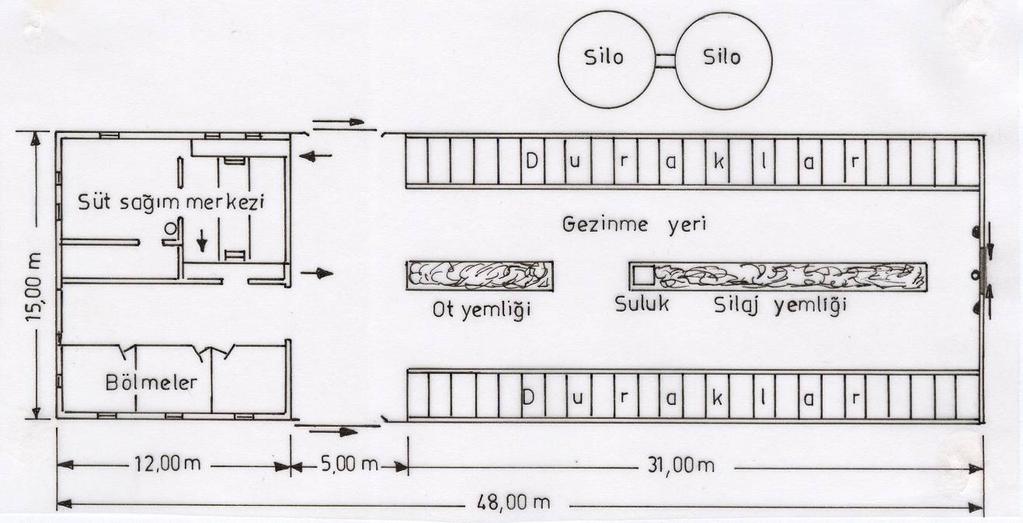 Şekil 4' de 50 başlık, Şekil 5 de ise