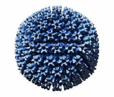 Sitomegalovirüs: BirHerpes Virüs: Çift zincirli lineer DNA, Lipit mebranüzerinde 162 hexagonal