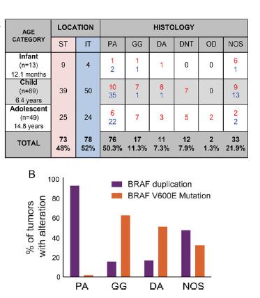 Pediatrik lokal gliomlar BRAF Proto-onkogen KIAA1549 duplikasyon/füzyonu %90 PA (%70 serebellum) En sık ( FISH ) BRAF